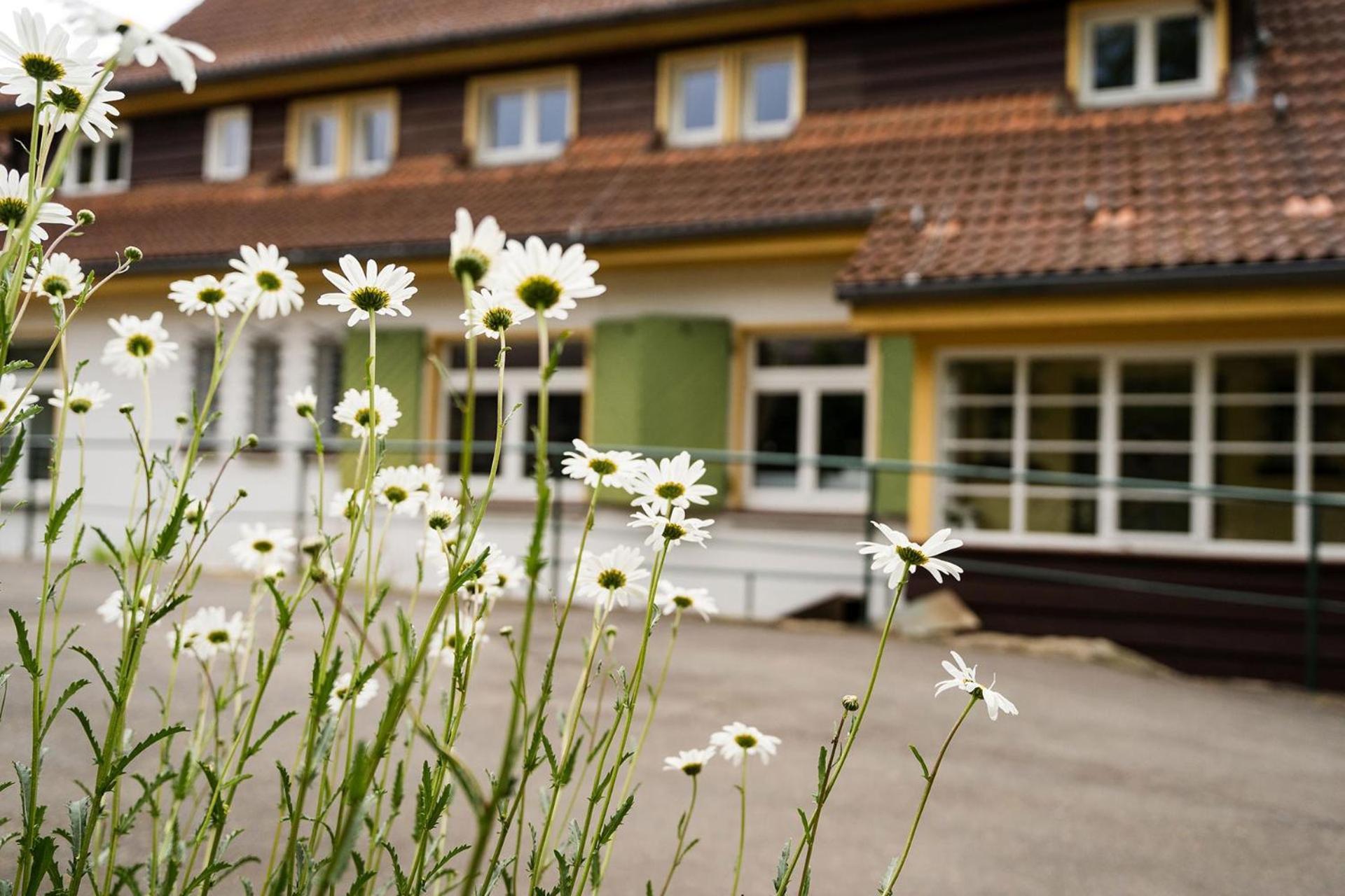 Pension Zum Hexenstieg Schierke Exteriör bild